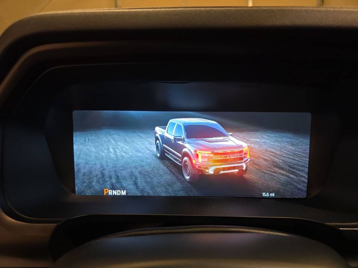 2025 Ford F-150 Raptor - Photo 9