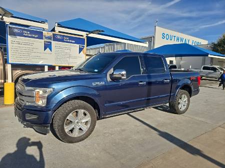 2019 Ford F-150 Platinum