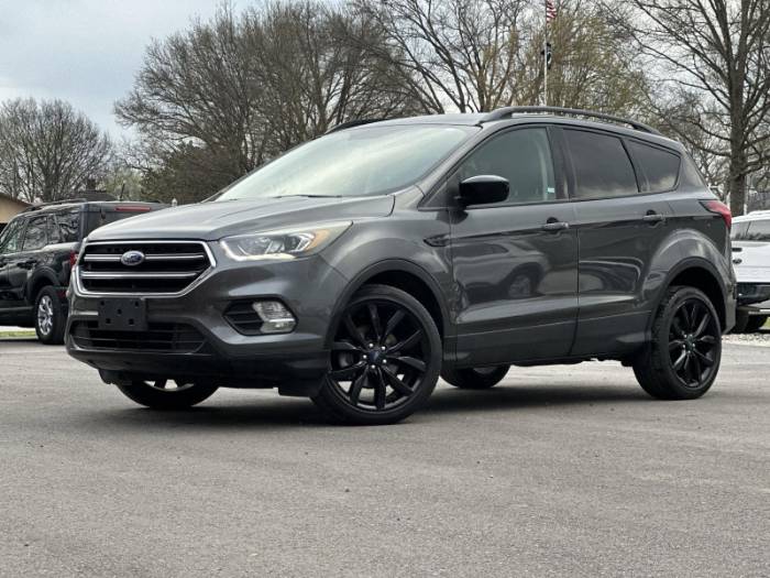 2019 Ford Escape SE