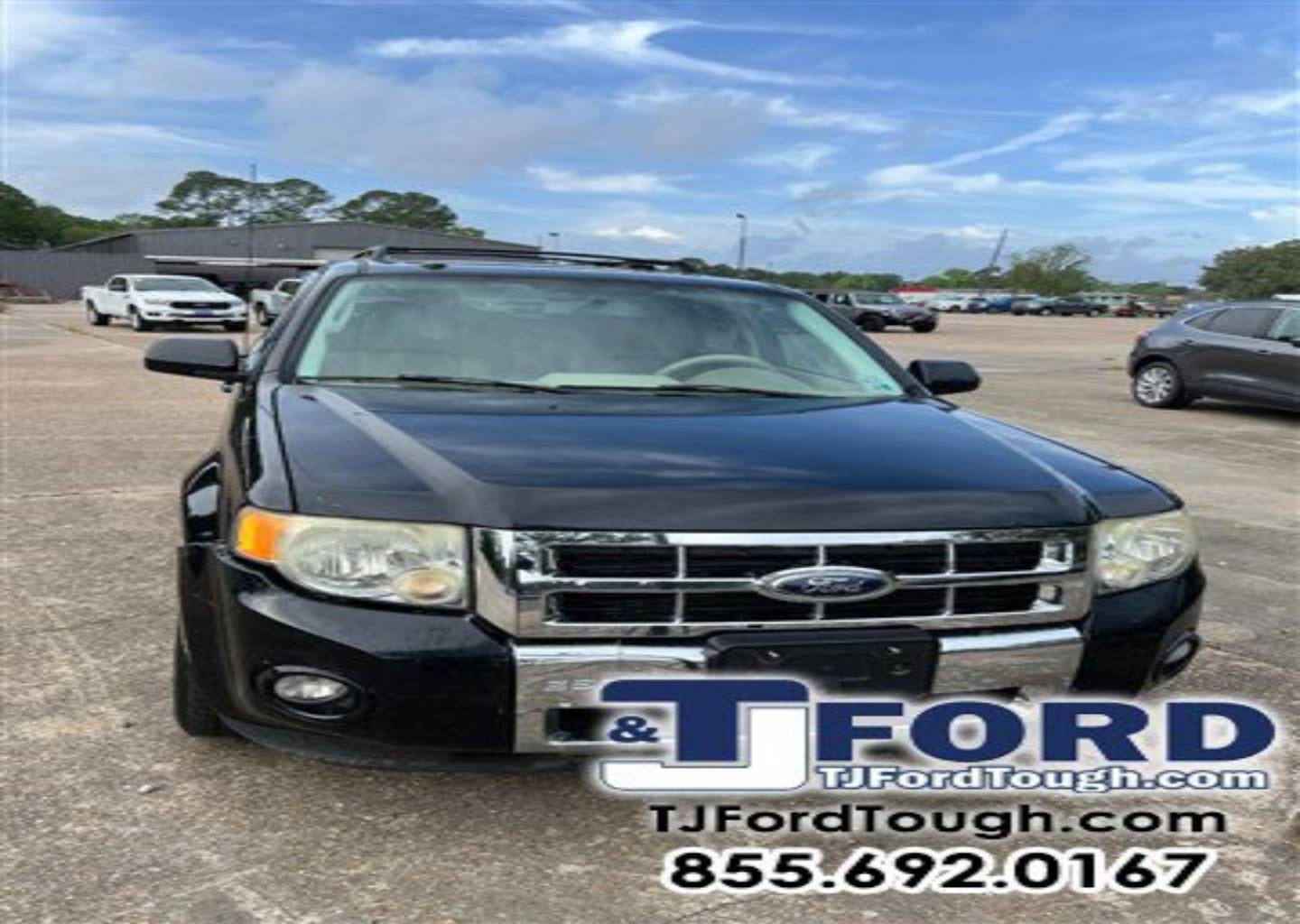 Used 2009 Ford Escape Limited with VIN 1FMCU04GX9KA08810 for sale in Ville Platte, LA