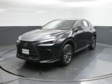 2025 Lexus NX 250 Premium