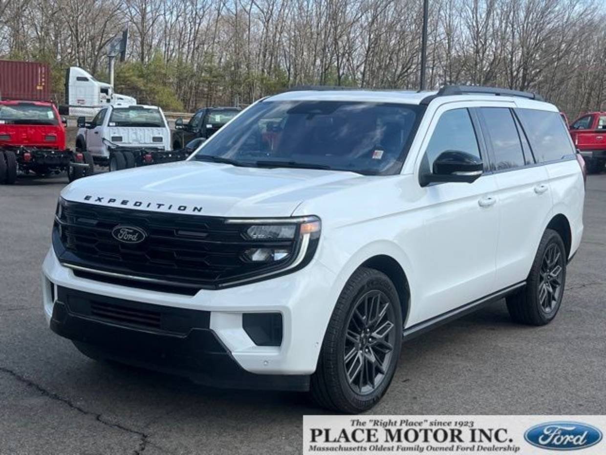 2025 Ford Expedition Platinum 4x4's photo