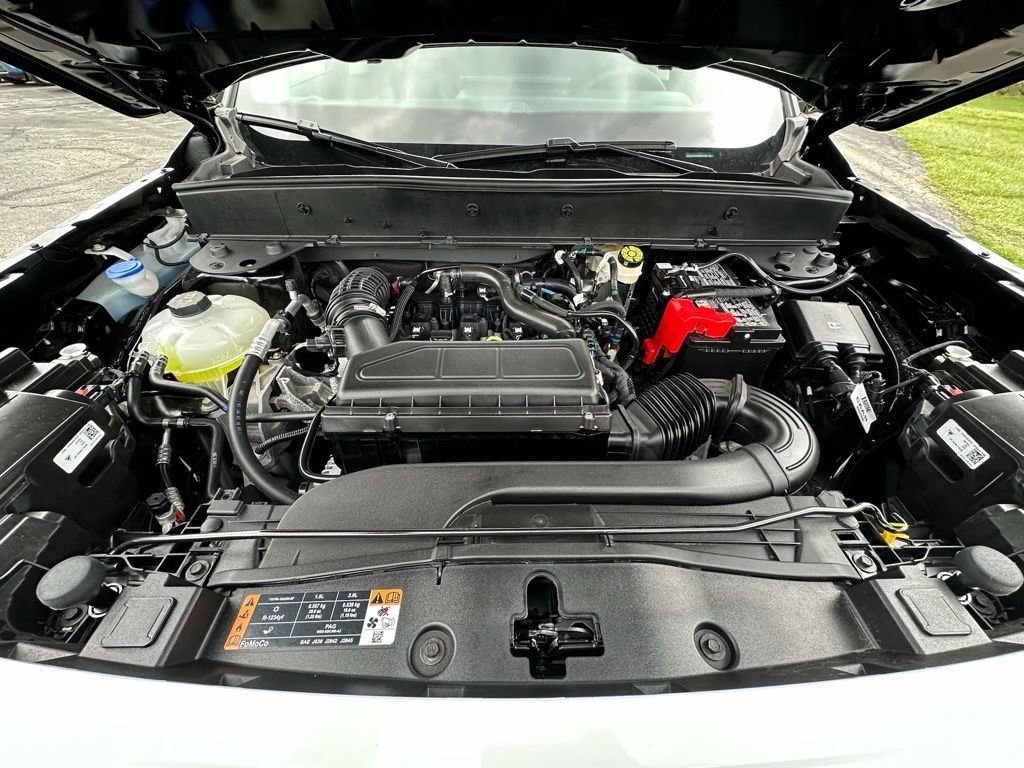 Showcase Image