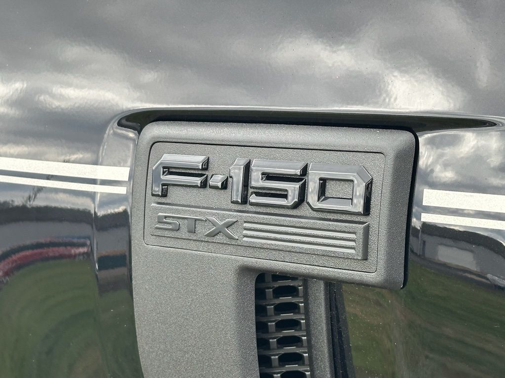 Showcase Image