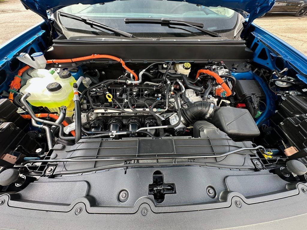 Showcase Image