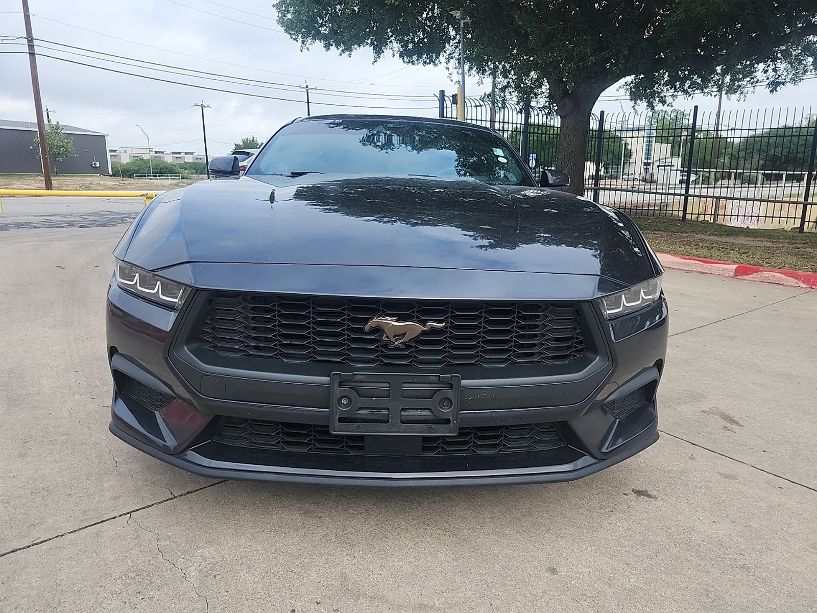 2024 Ford Mustang EcoBoost Premium - Photo 8
