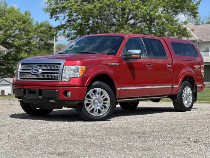 2010 Ford F-150 Platinum