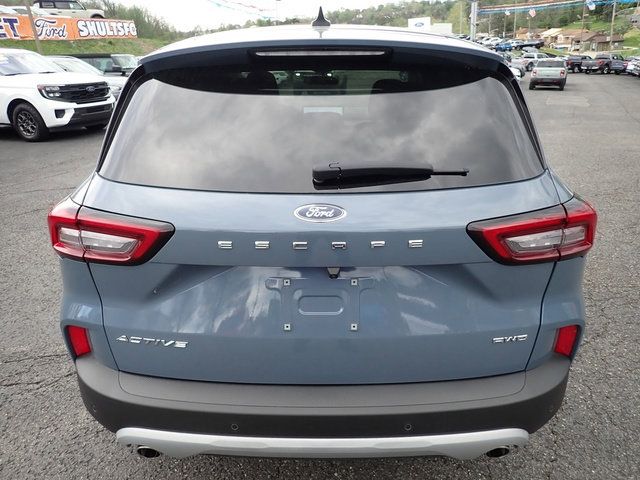 Showcase Image