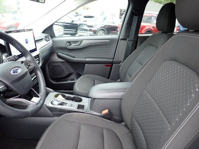 Showcase Image