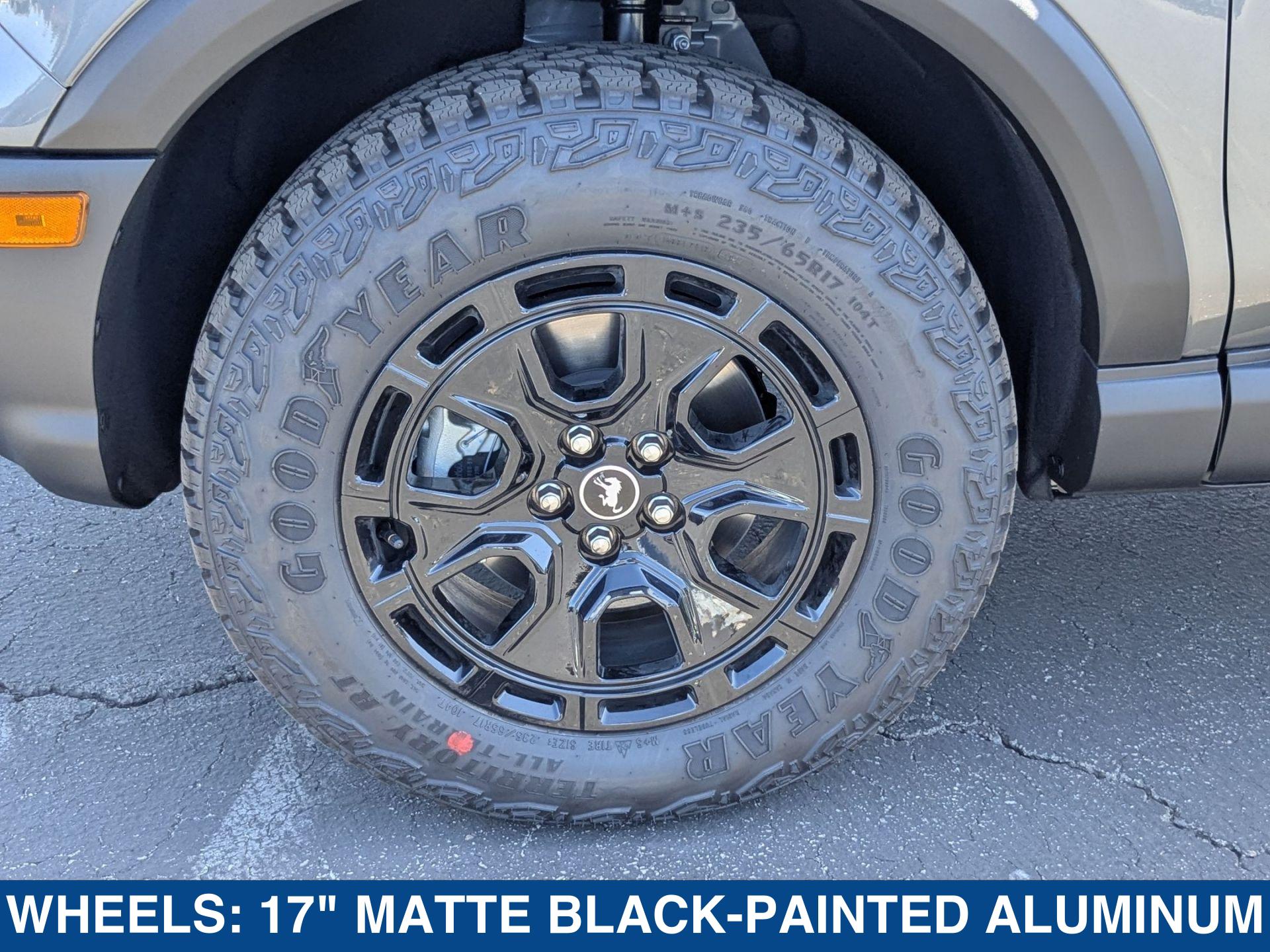 2025 Ford Bronco Sport Badlands - Photo 9