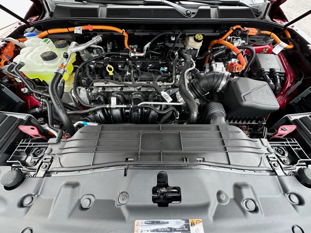 Showcase Image