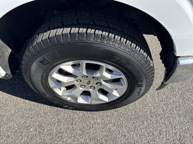 2023 Ford F-150 XLT - Photo 6