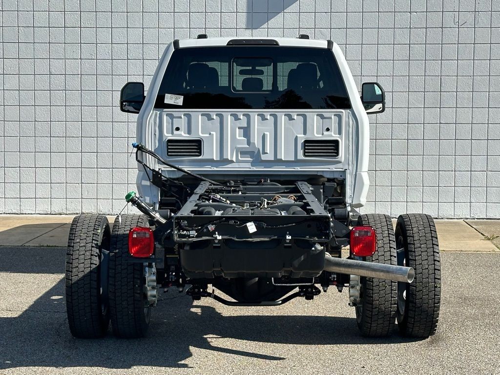 Showcase Image