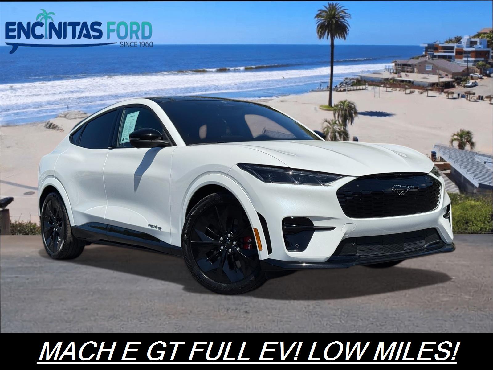 2025 Ford Mustang-Mach-e GT's photo
