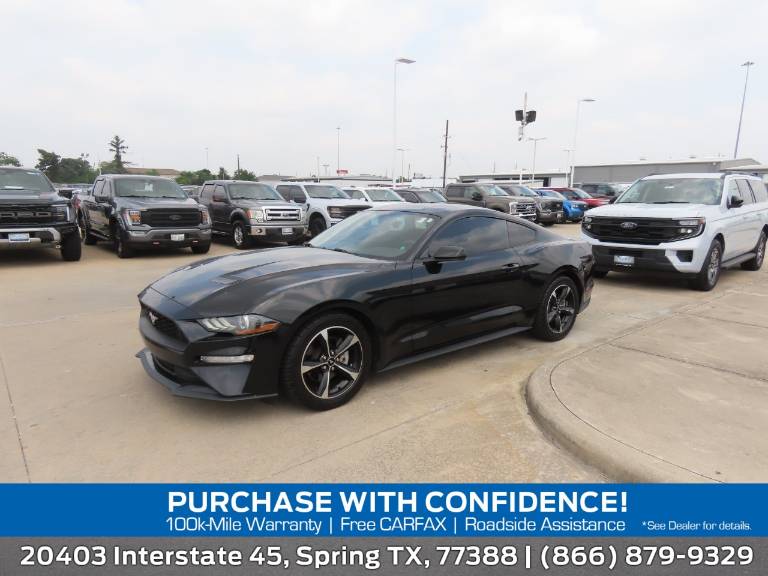 2019 Ford Mustang EcoBoost® Fastback