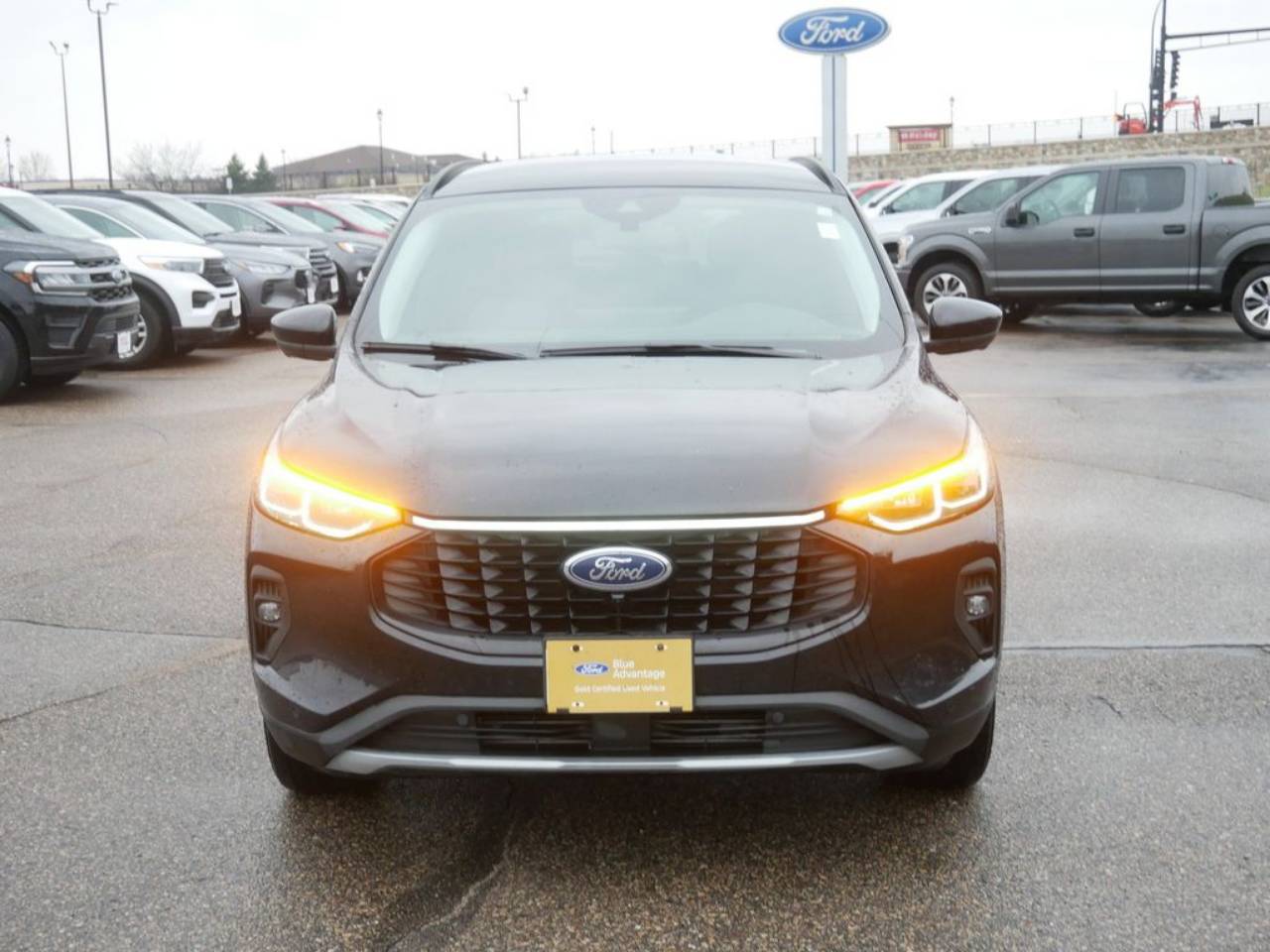 Certified 2024 Ford Escape Platinum with VIN 1FMCU9JA1RUA94226 for sale in North Branch, Minnesota