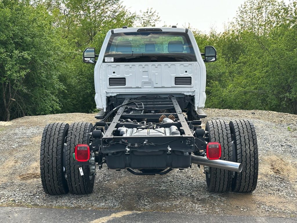 Showcase Image