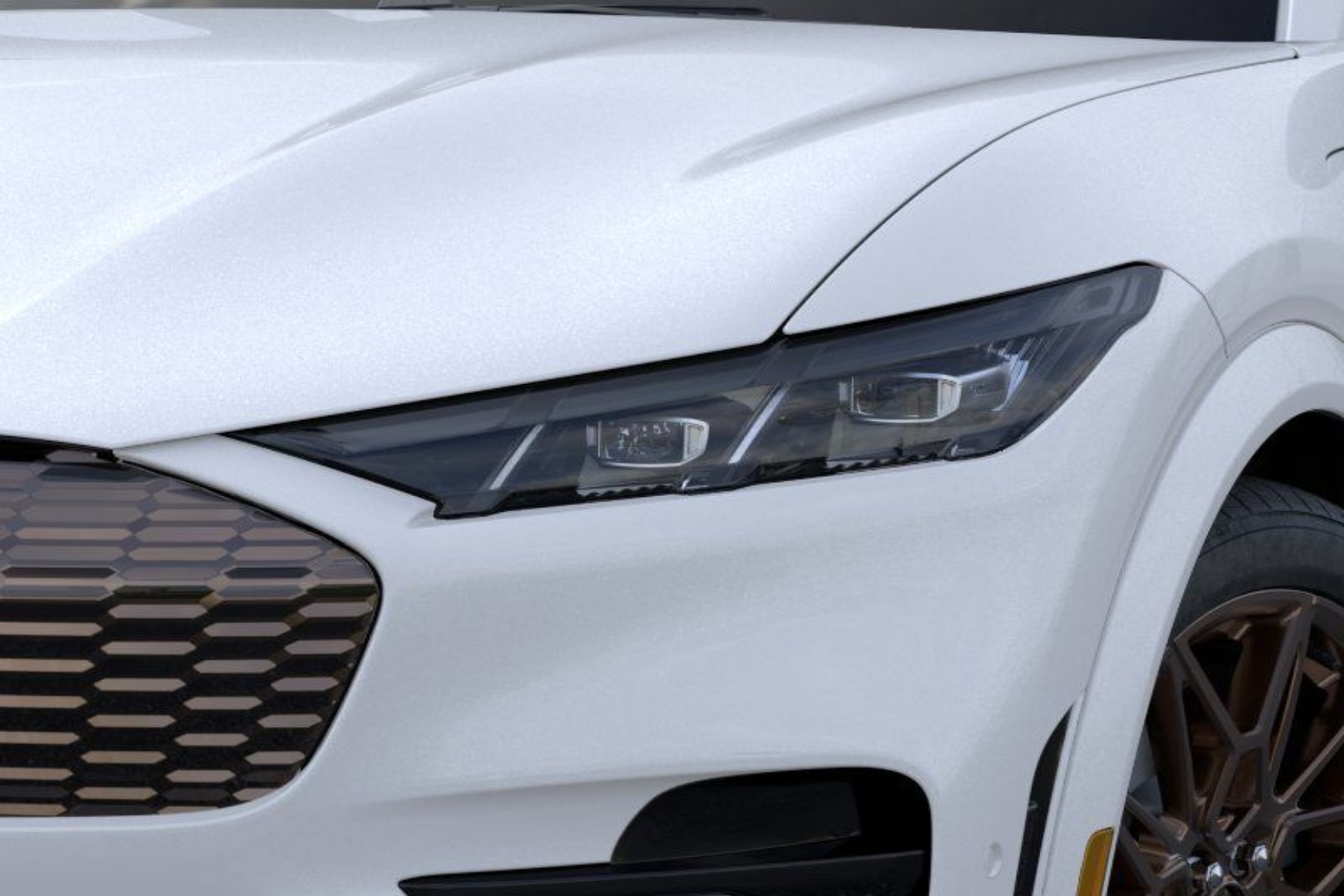 2025 Ford Mustang Mach-E GT - Photo 19
