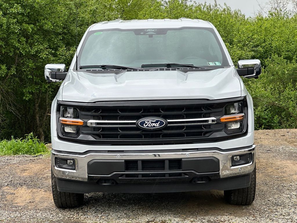 Showcase Image