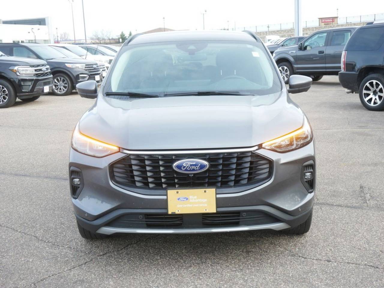 Certified 2024 Ford Escape Platinum with VIN 1FMCU9JA8RUA86303 for sale in North Branch, Minnesota