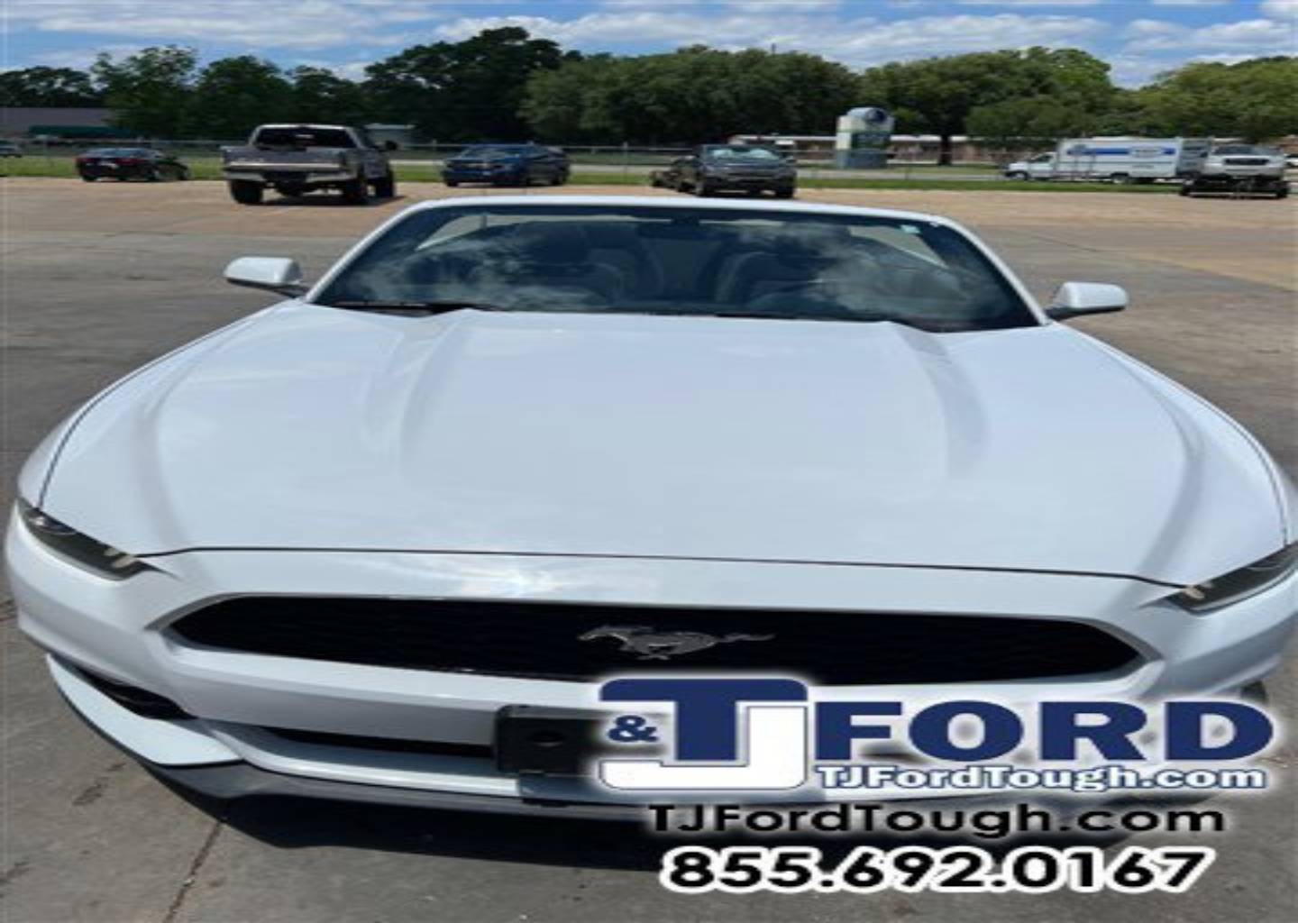 Used 2016 Ford Mustang V6 with VIN 1FATP8EM2G5329384 for sale in Ville Platte, LA