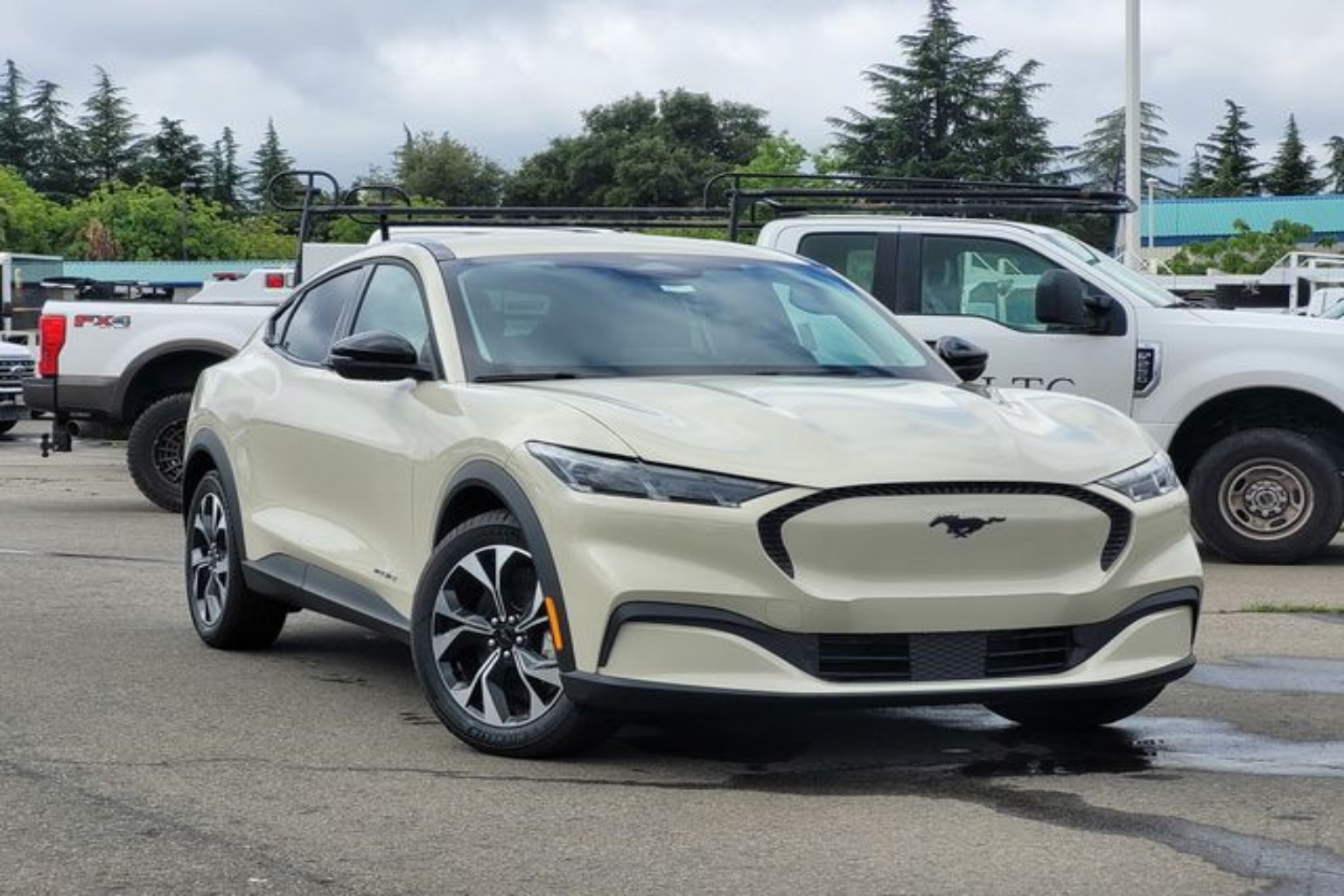 2026 Ford Mustang-Mach-e Select's photo