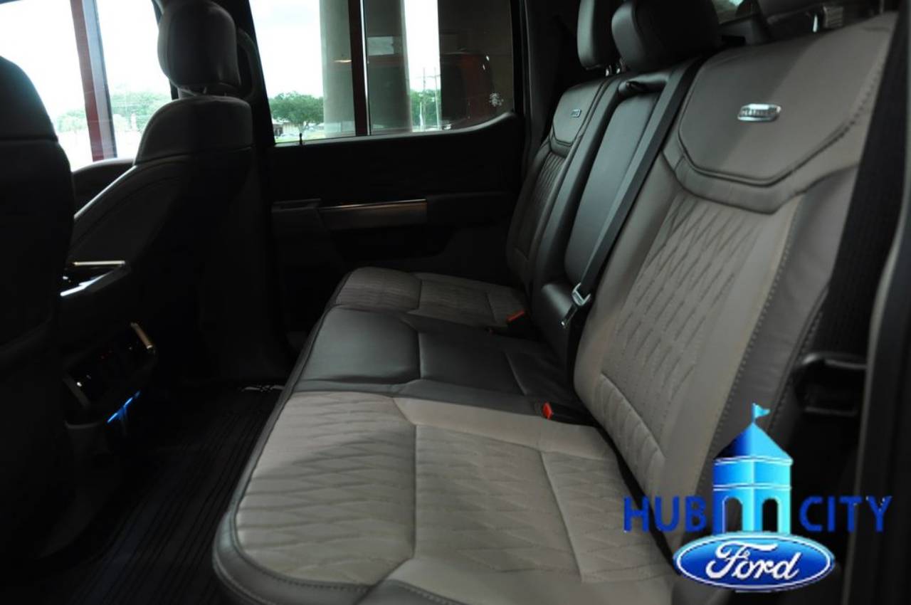 2025 Ford F-150 Platinum - Photo 10