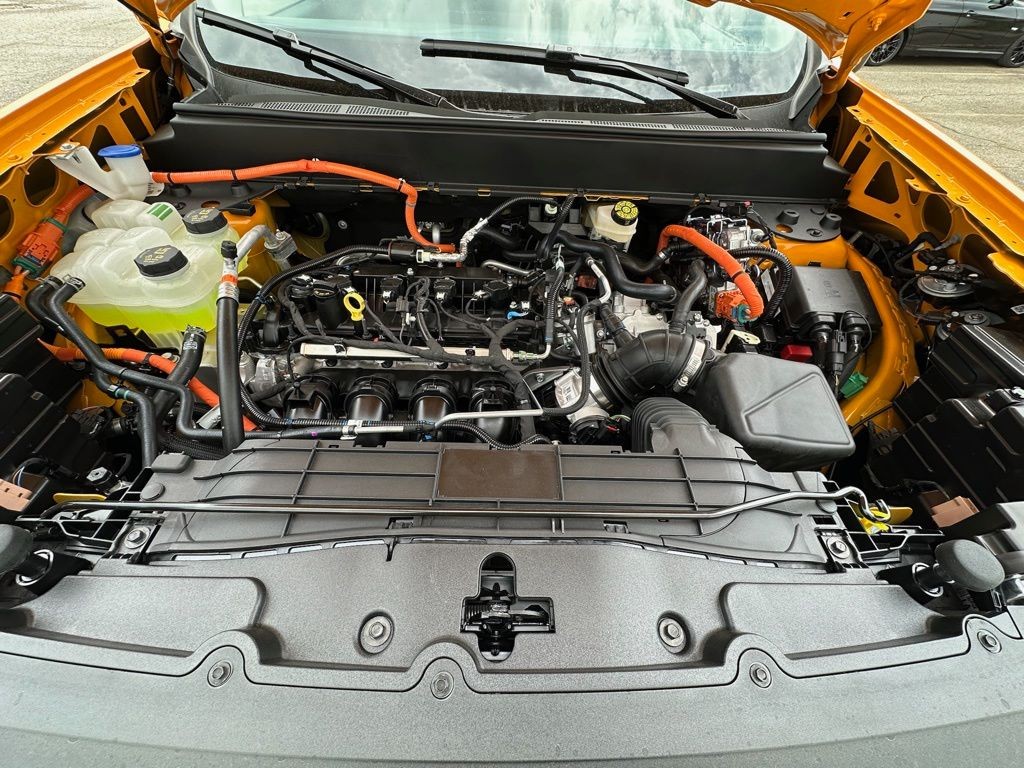 Showcase Image