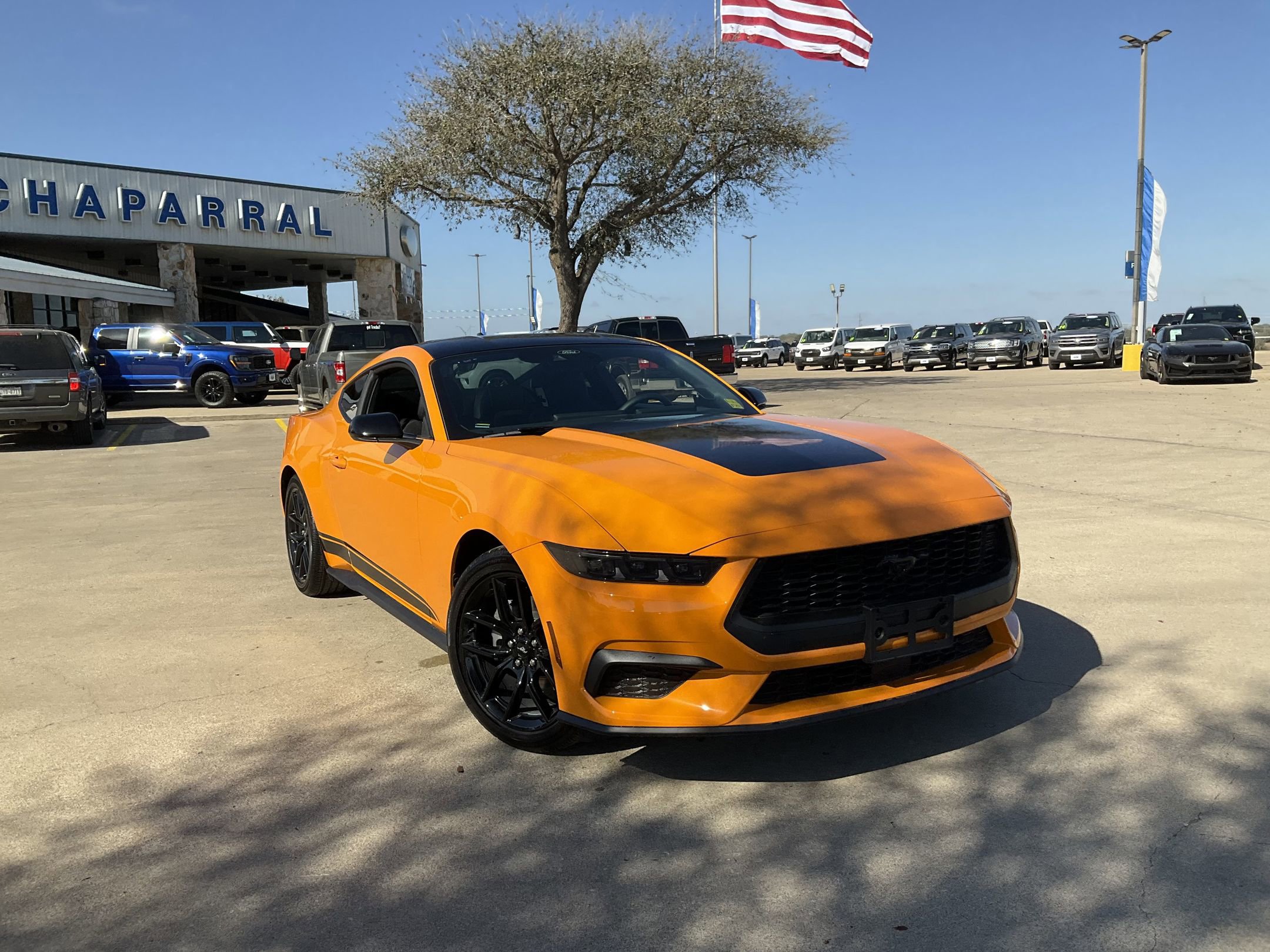 2026 Ford Mustang EcoBoost Fastback's photo