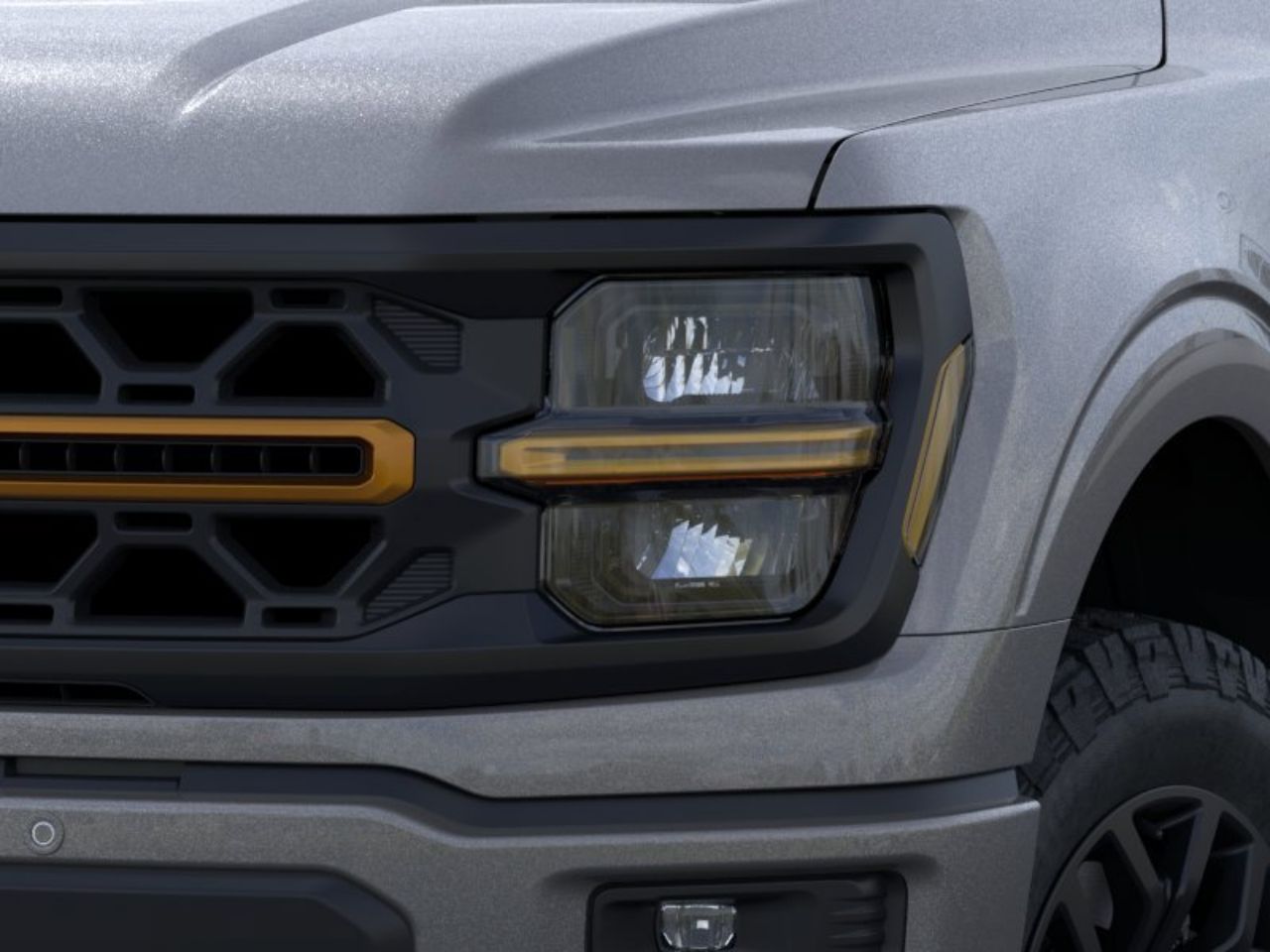 Showcase Image