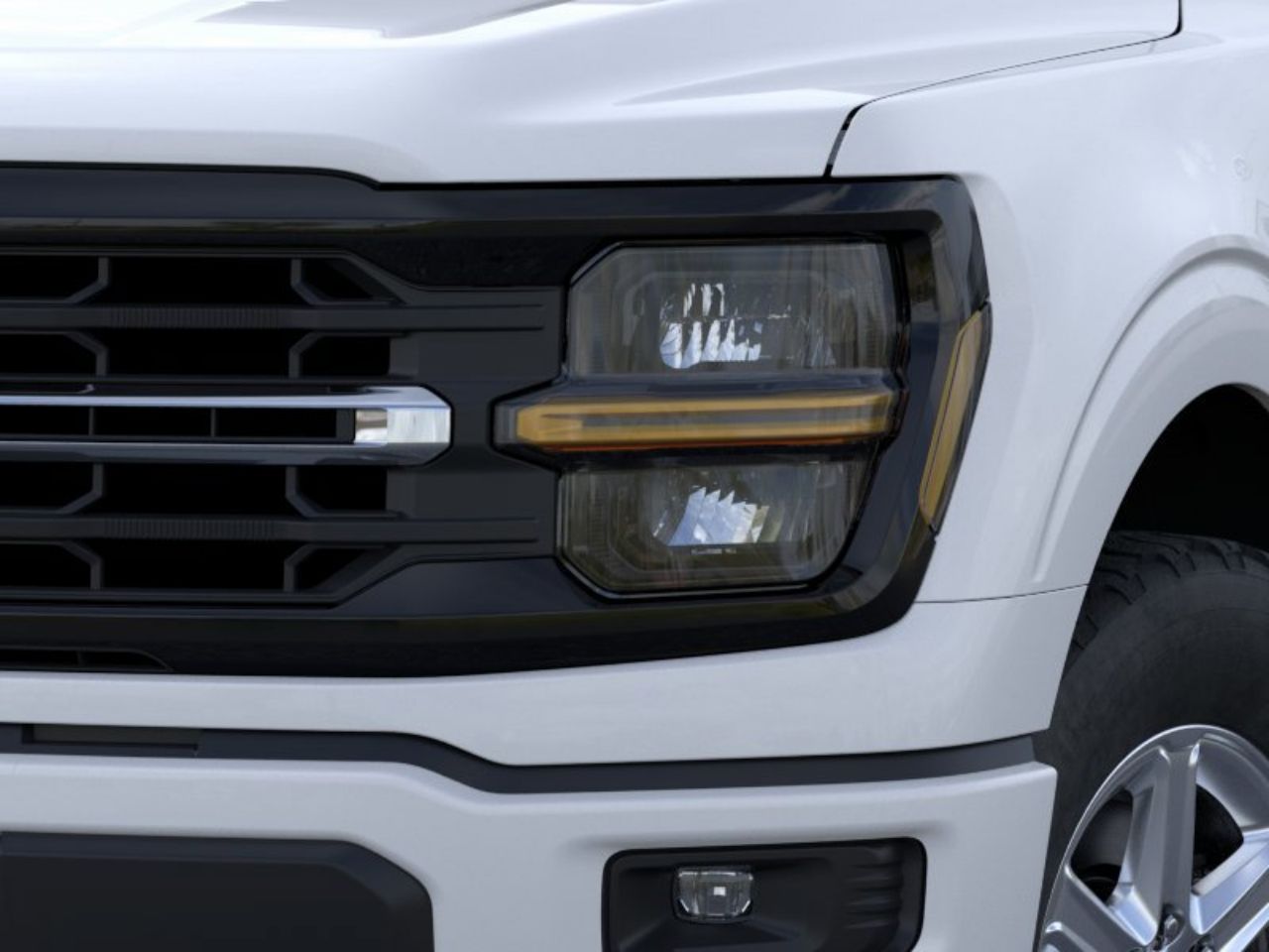 Showcase Image