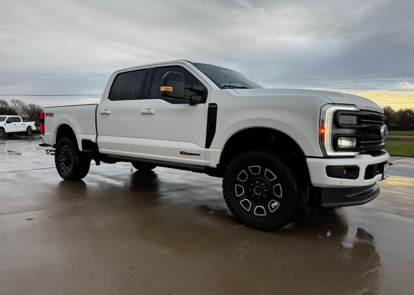 2025 Ford F-250 Platinum 4x4 Crew Cab 8' Box's photo