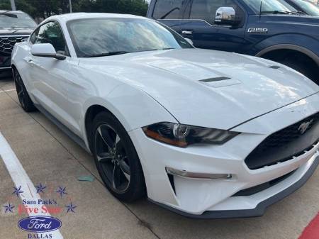 2019 Ford Mustang EcoBoost®