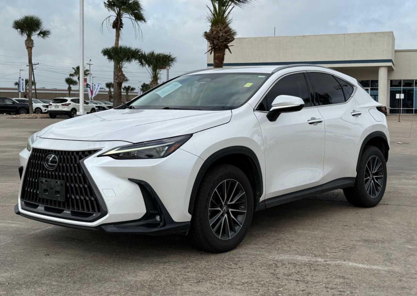 2023 Lexus NX 350 250 FWD's photo