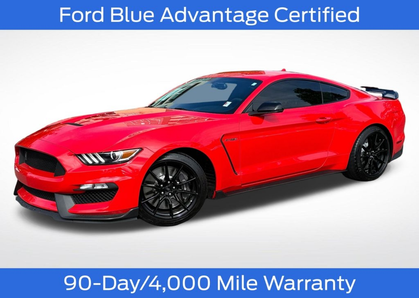 2020 Ford Mustang Shelby GT350's photo