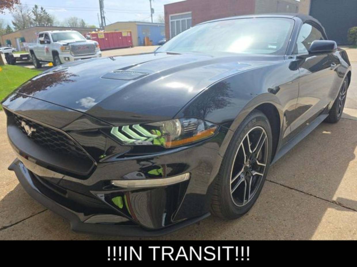 2023 Ford Mustang EcoBoost Premium Convertible's photo