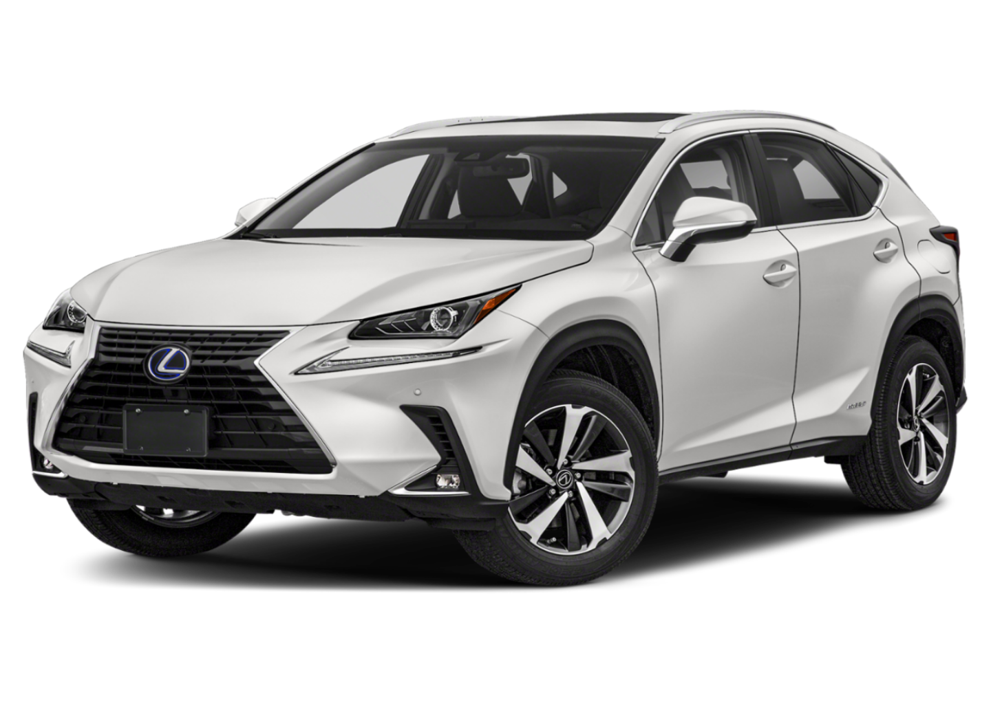 2019 Lexus NX 350h 300h AWD's photo