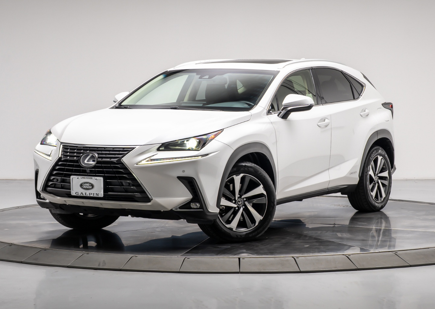 2019 Lexus NX 350h 300h AWD's photo