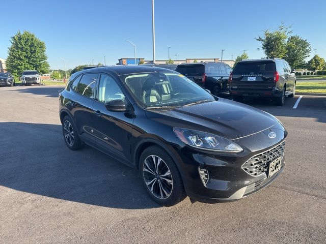 2022 Ford Escape SE Sport Hybrid FWD's photo