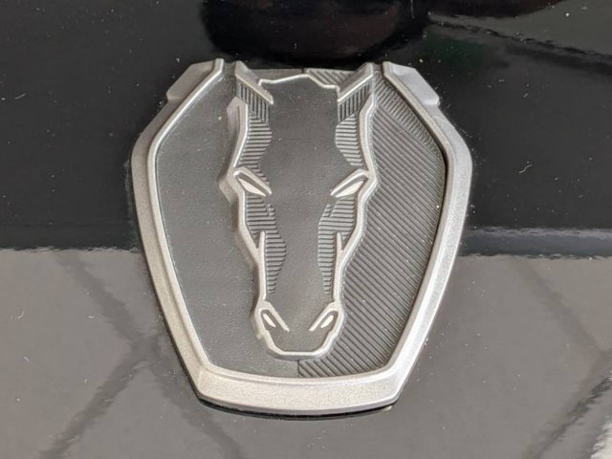 2025 Ford Mustang Dark Horse - Photo 31