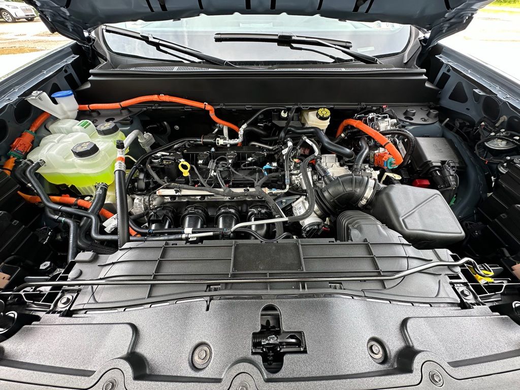 Showcase Image