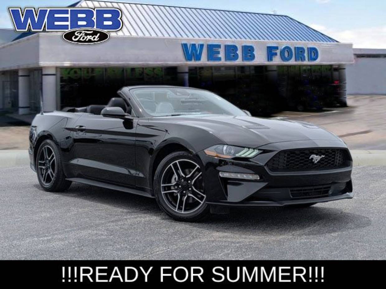 2023 Ford Mustang EcoBoost Premium Convertible's photo