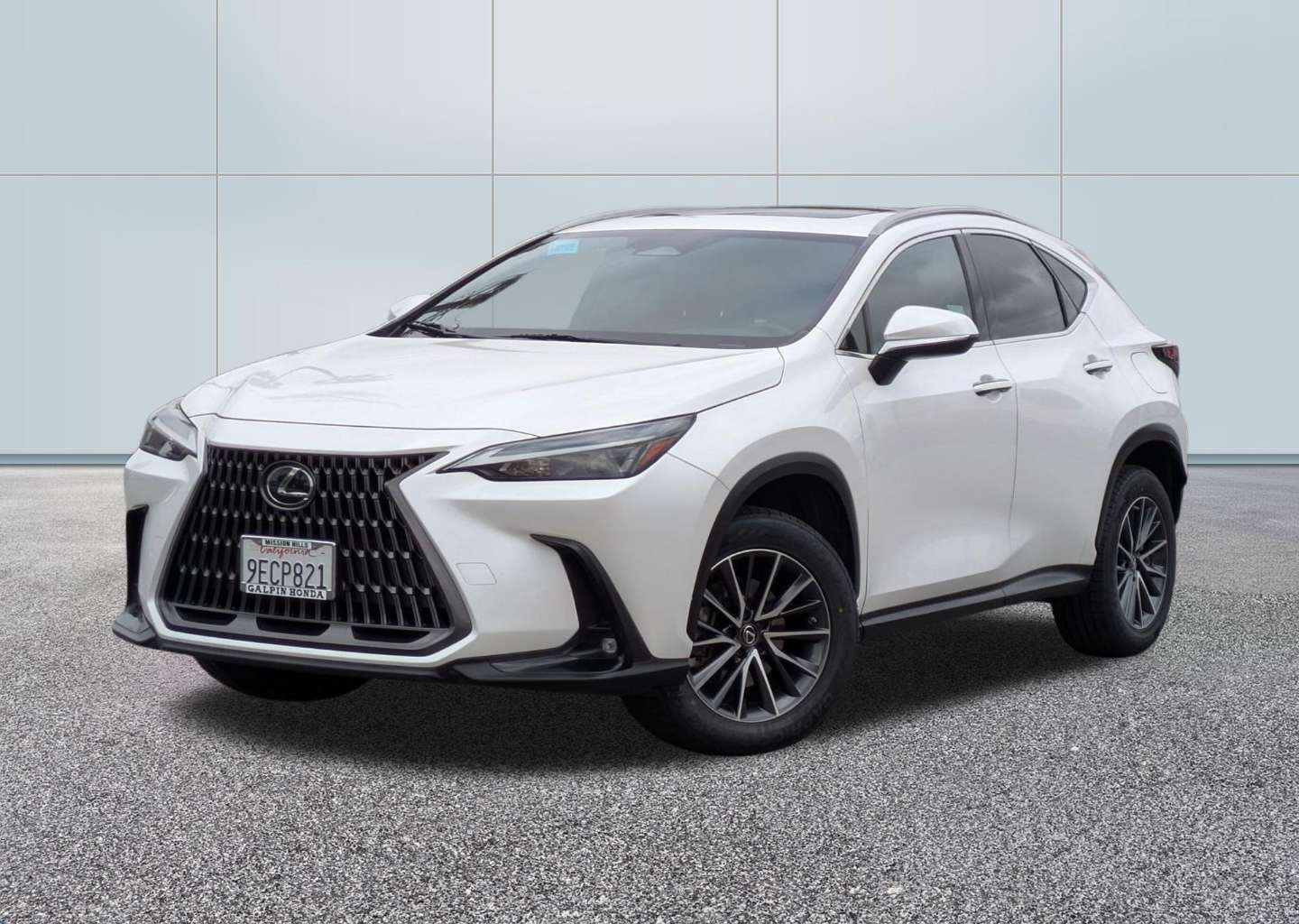 2023 Lexus NX 350h 350h AWD's photo