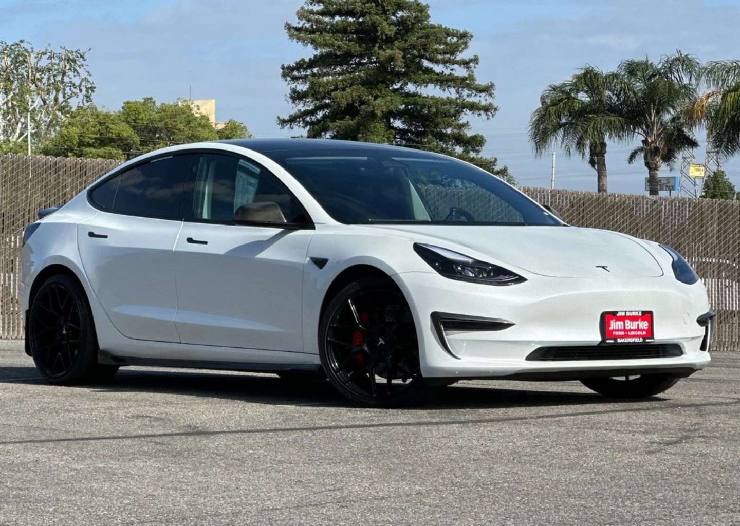 2023 Tesla Model 3 Performance's photo