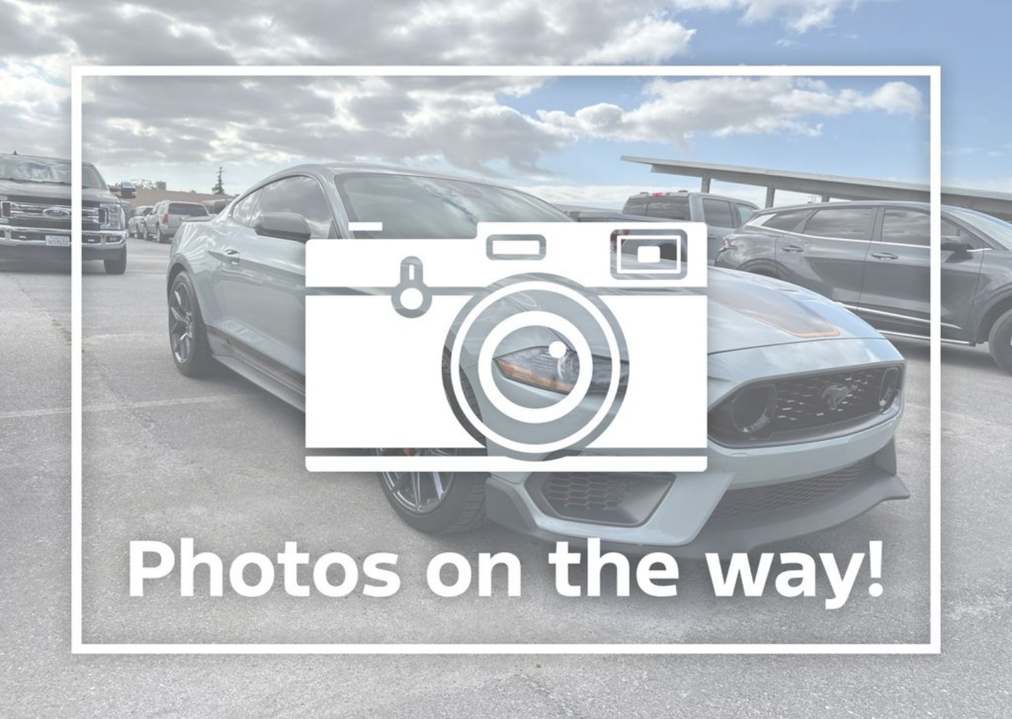 2022 Ford Mustang Mach 1's photo
