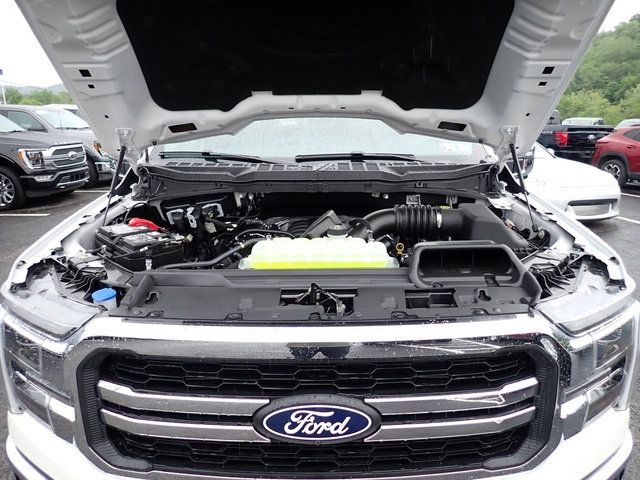 Showcase Image