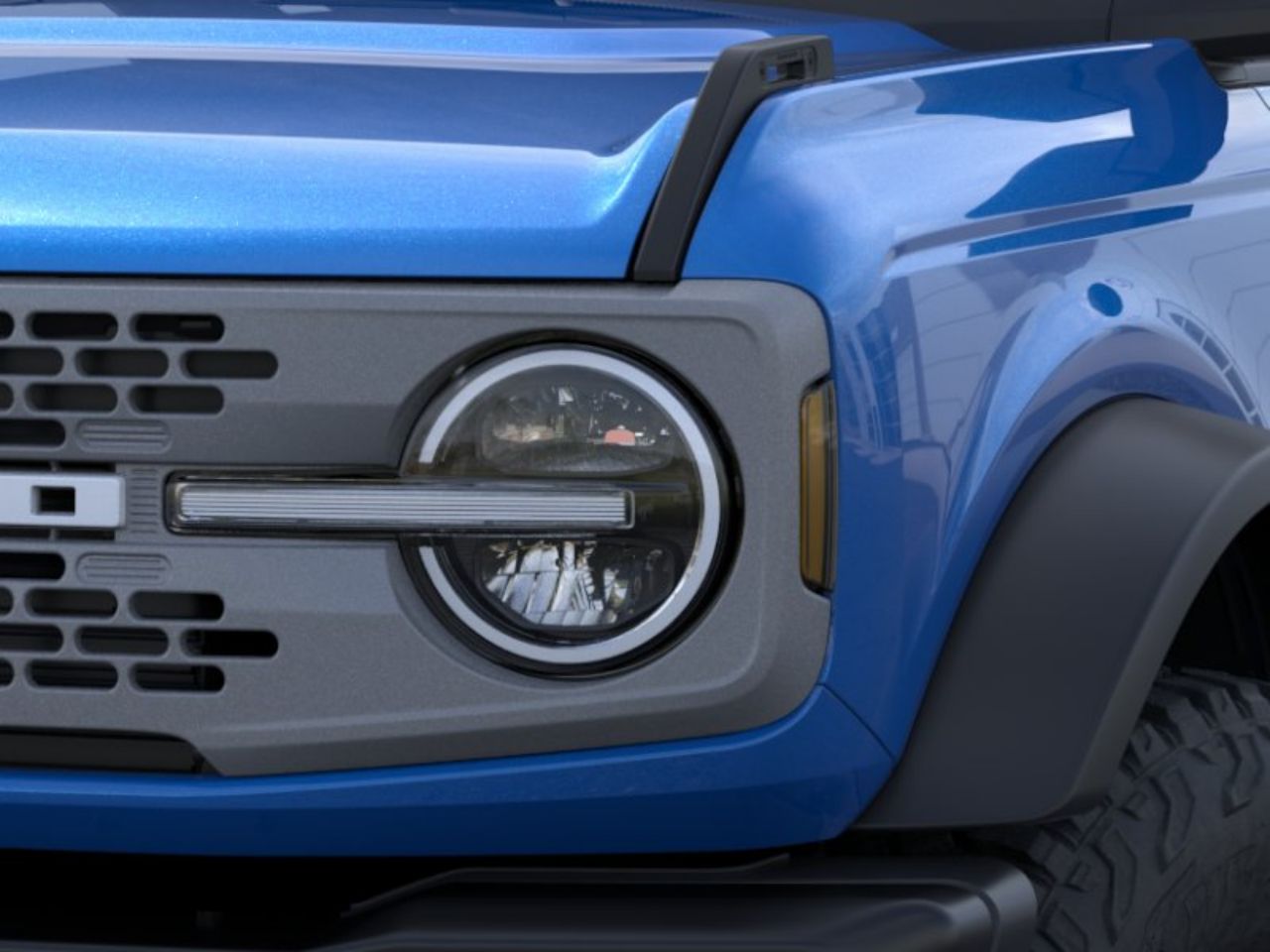 Showcase Image