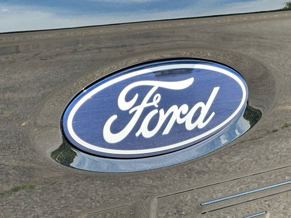 Showcase Image
