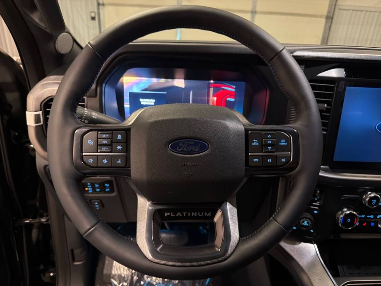 2025 Ford F-150 Platinum - Photo 8