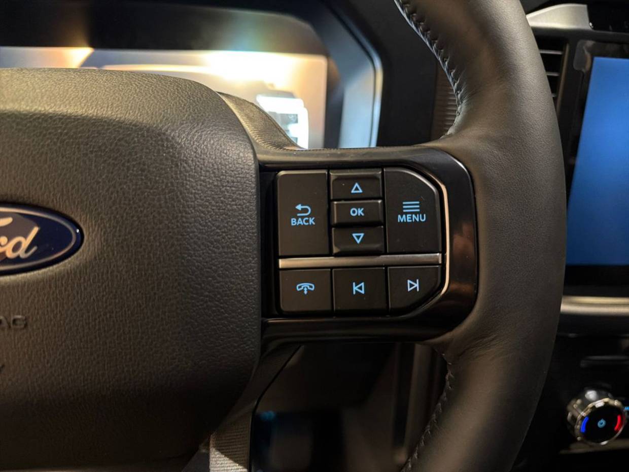 2025 Ford F-150 Platinum - Photo 9